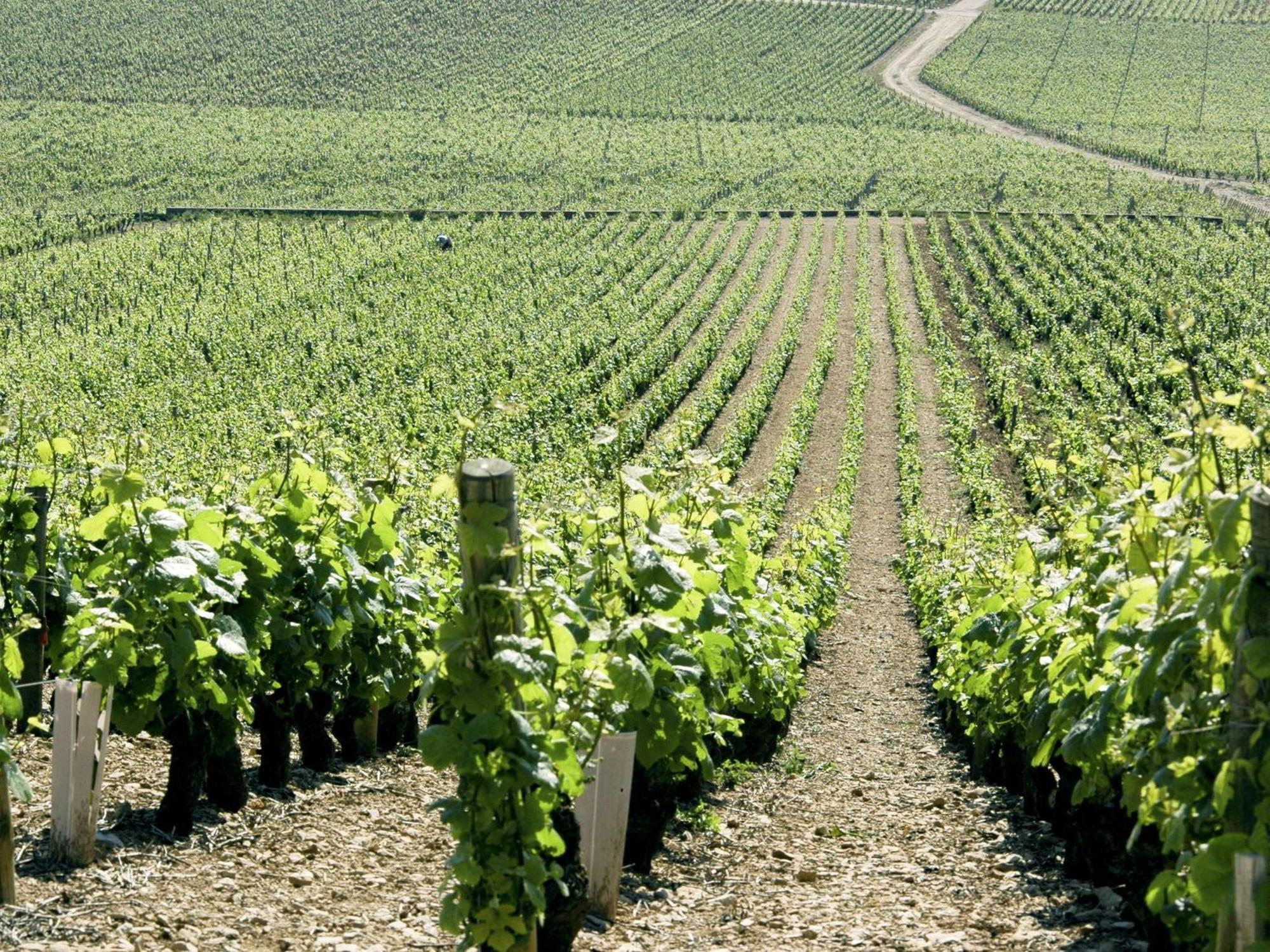 Novotel Dijon Sud Marsannay-la-Côte Eksteriør bilde